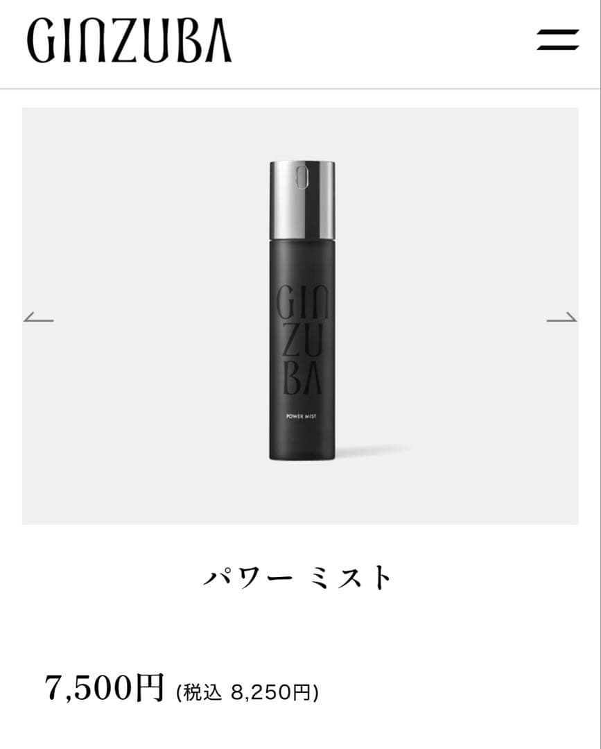 【新品未開封】ギンズバ　パワーミスト