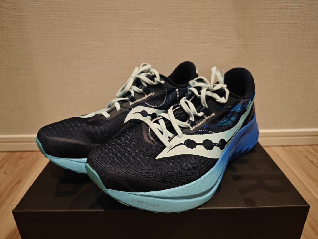 [値下げOK] Saucony エンドルフィンスピード 4 29センチ
