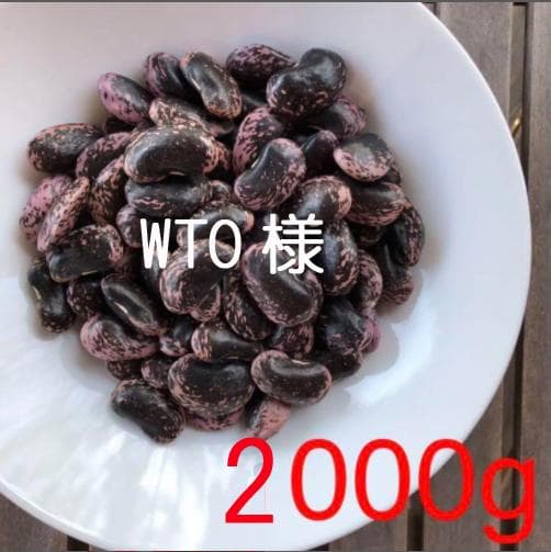 WTO　花豆2000g