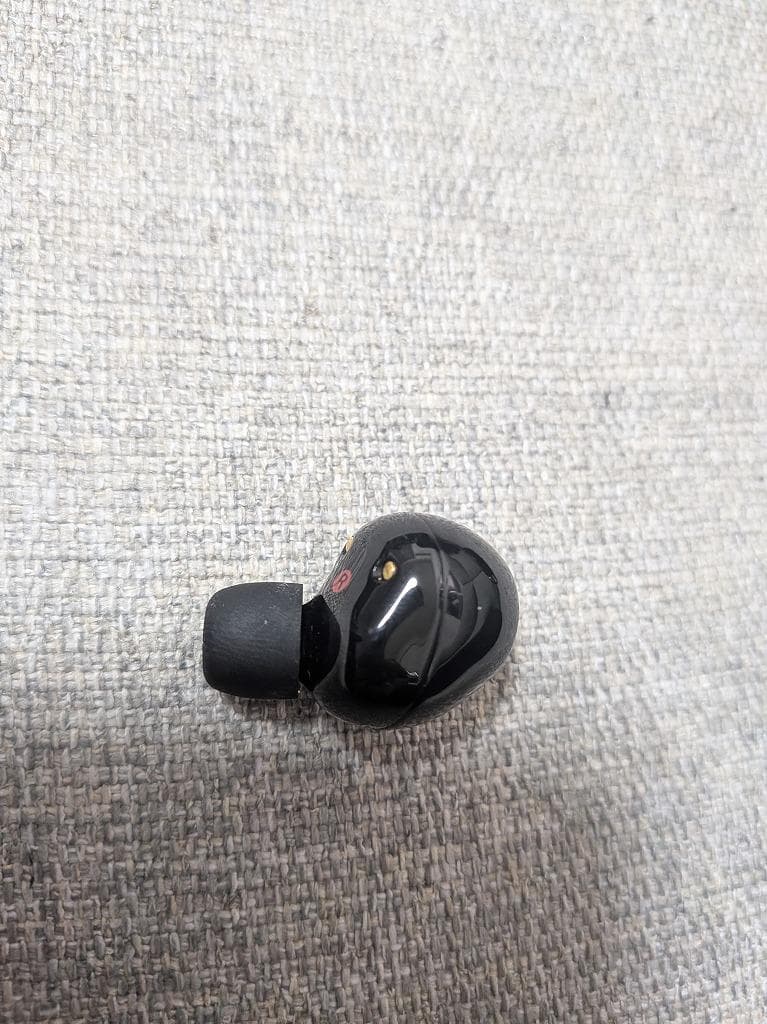 シルクロードSONY WF-1000XM5 充電ケース+右耳