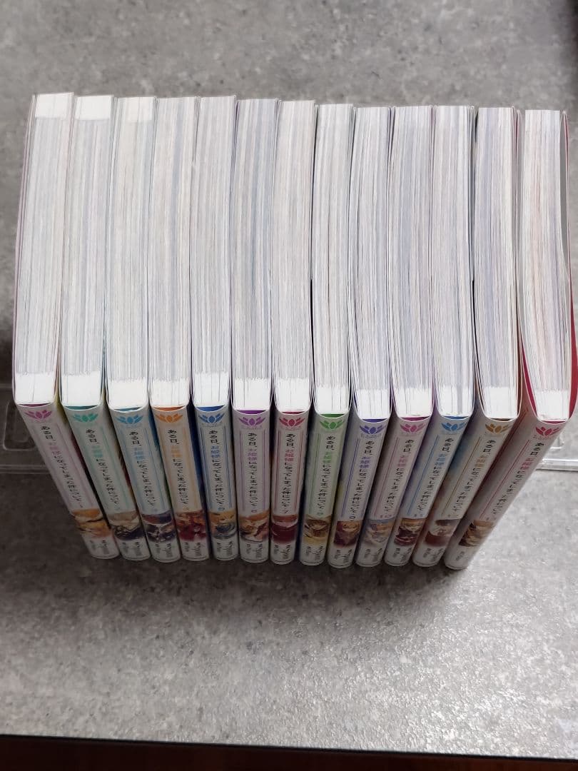 ある日お姫様になってしまった件について　全巻セット