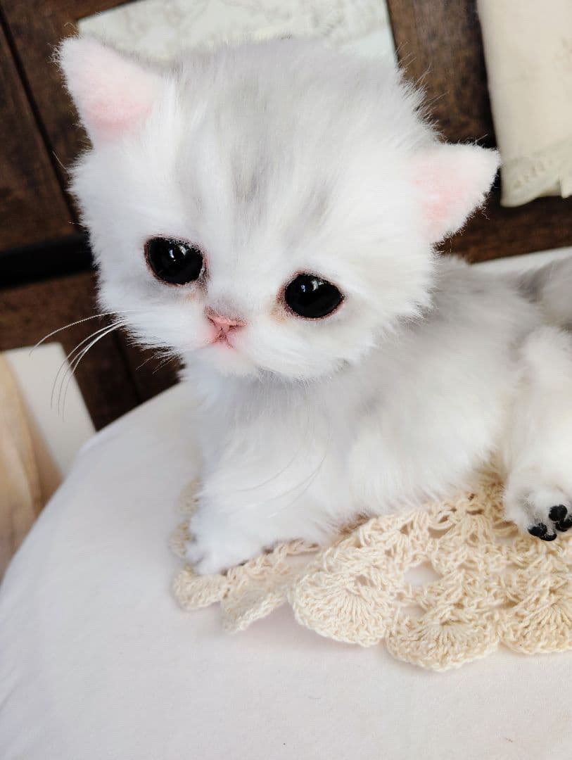 チンチラシルバー♡子猫のララちゃん♡アートドール♡ぬいぐるみ♡
