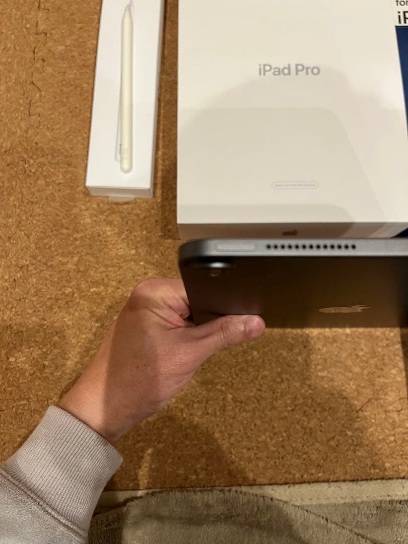 iPad Pro 11インチApple Pencil純正　セット　動作確認済