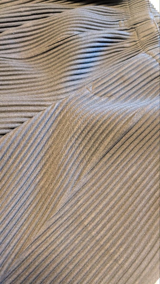 オムプリッセイッセイミヤケ パンツ