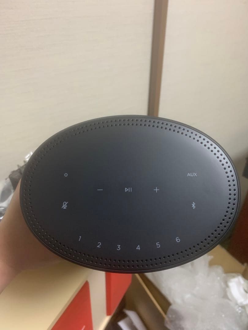 Bose  SPEAKER 300 ブラック