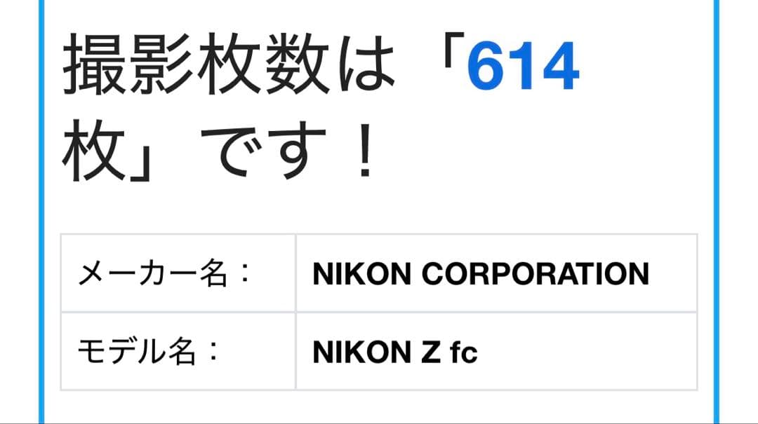 【ほぼ新品】Nikon zfc ブラック　SD、ガイドブック、本革ストラップ付き
