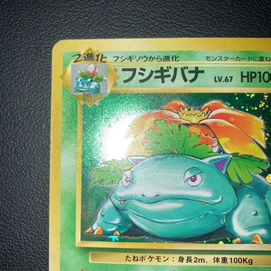 美品　フシギバナ　旧裏　キラ　ホロ