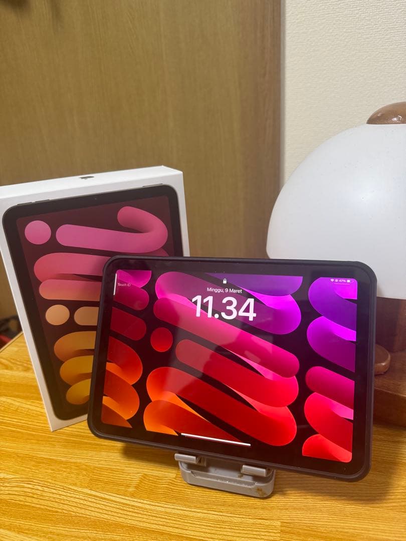 iPad本体 IPAD MINI A17pro 256gb