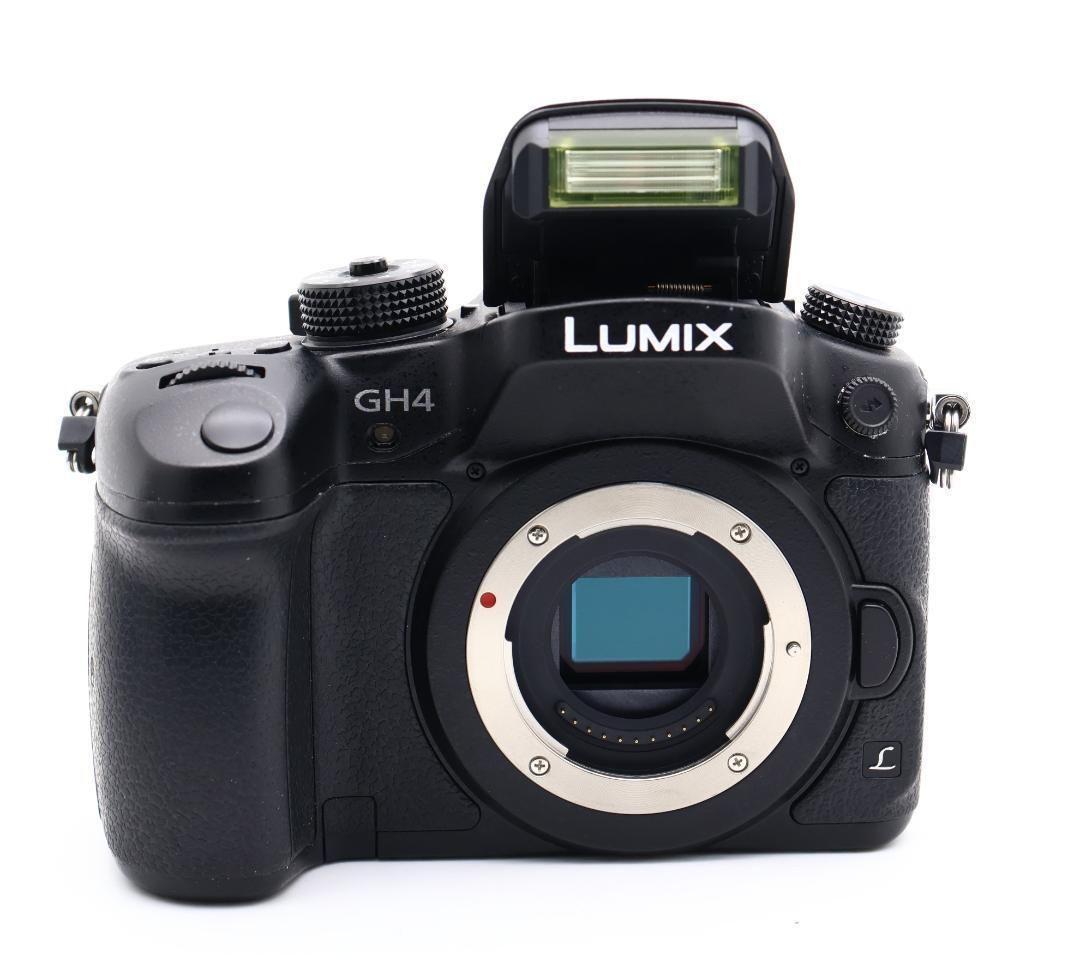 完動品 Panasonic LUMIX G DMC-GH4H ショット数1986
