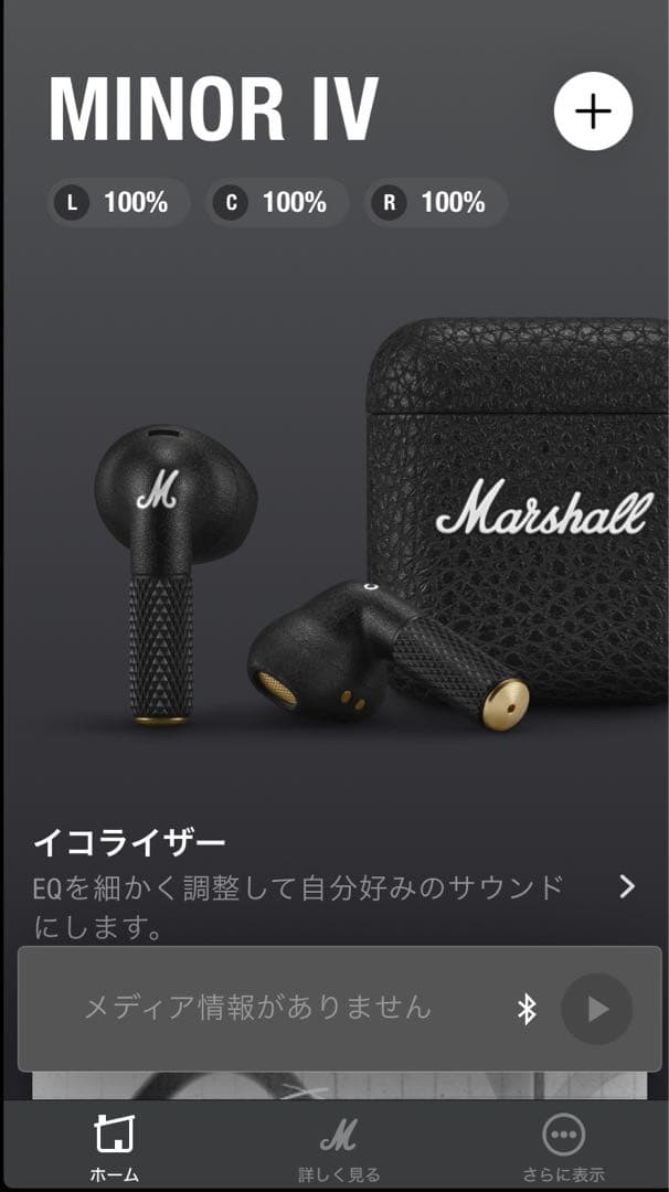 も*も様 正規品Marshall Minor IV ワイヤレスイヤフォン （保護