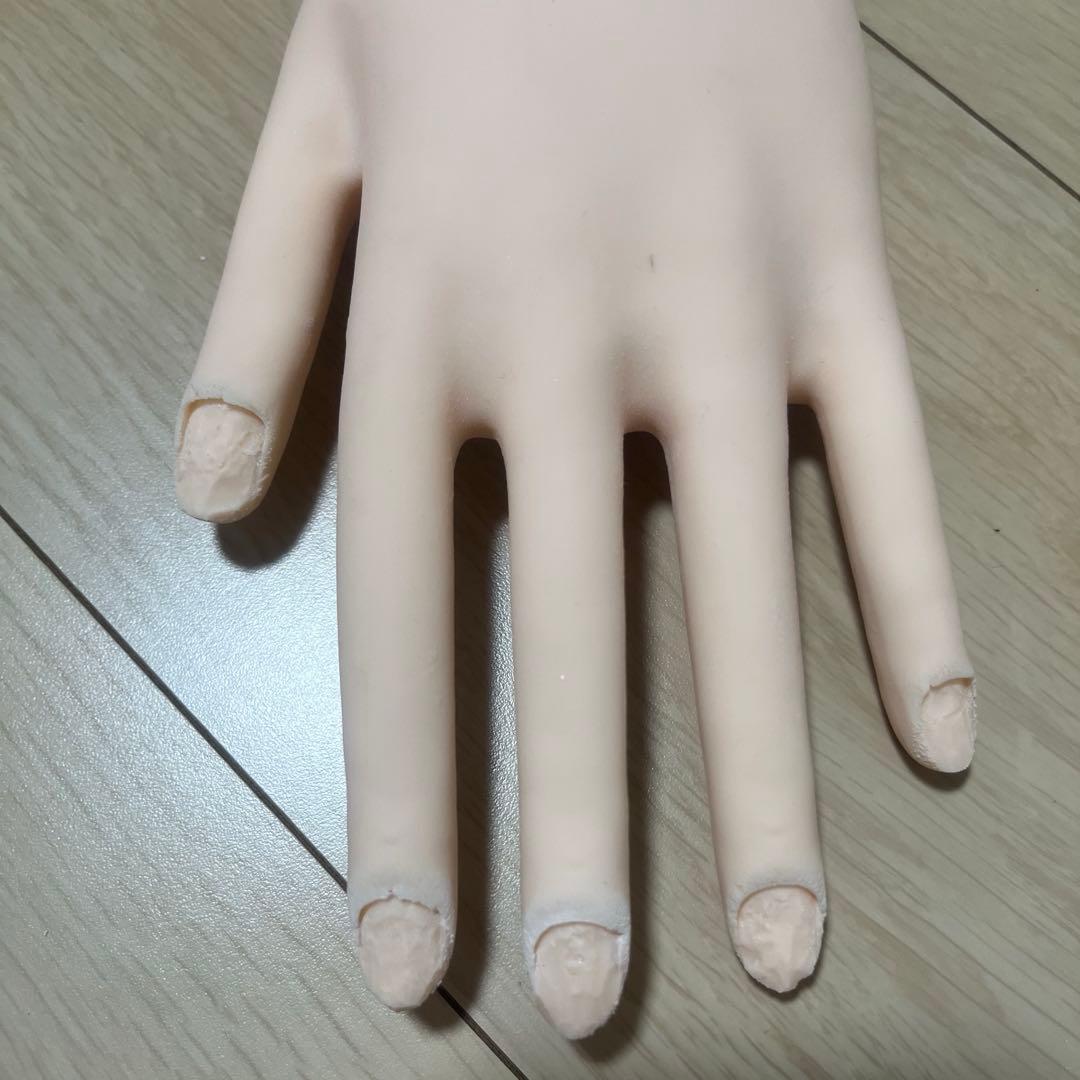 認定モデルハンド ネイルアート用手型 肌色 標準サイズ チップ付き シール付き