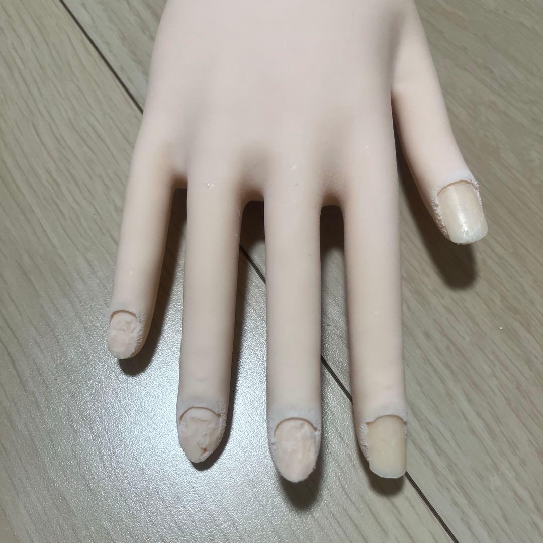 認定モデルハンド ネイルアート用手型 肌色 標準サイズ チップ付き シール付き