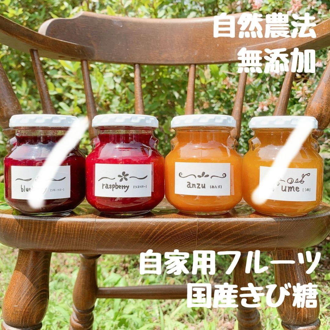 農薬不使用　栗の渋皮煮　550g（栗280〜320g）