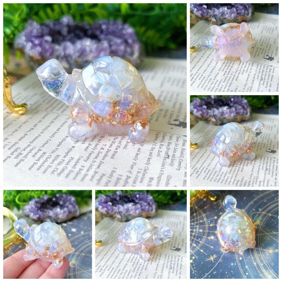 ローザ　お取り置き