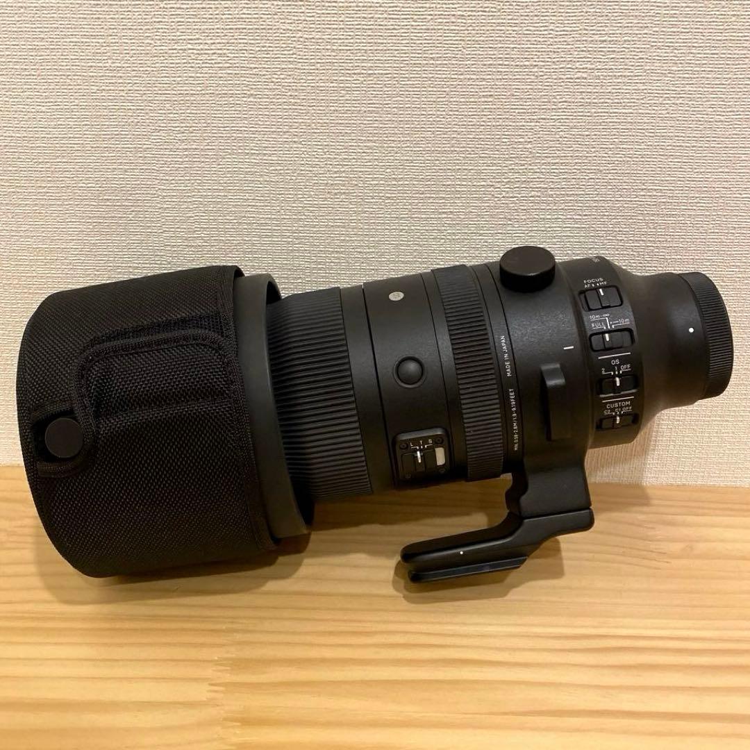 SIGMA sports 150-600F5-6.3 DGDN （SONY E）