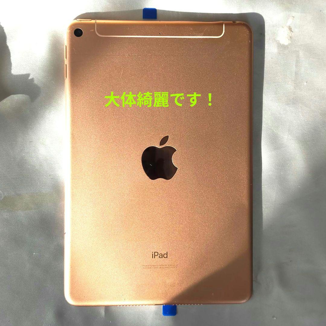 正常動作 IPad mini 第5世代 新品パーツ満載 SIMフリー