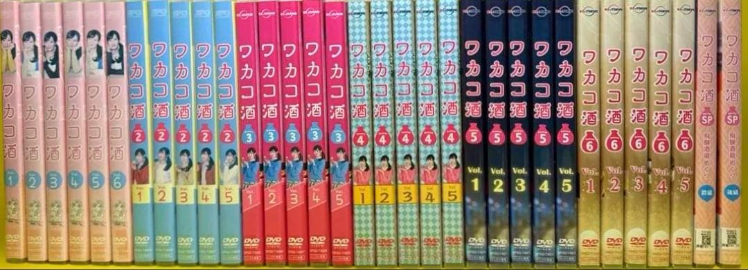 ワカコ酒 Season1〜season6 DVD全33巻《SP2巻付き》武田梨奈