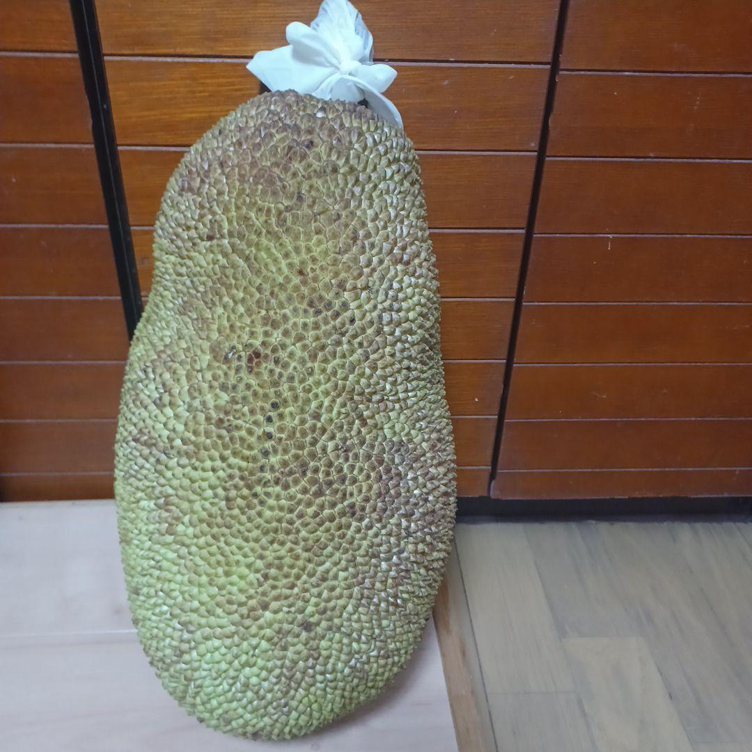 大きいジャックフルーツ