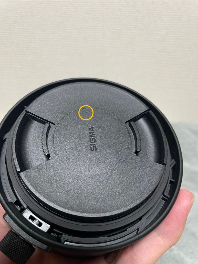 し*け様 SIGMA 70-200mm F2.8 DG DN OS