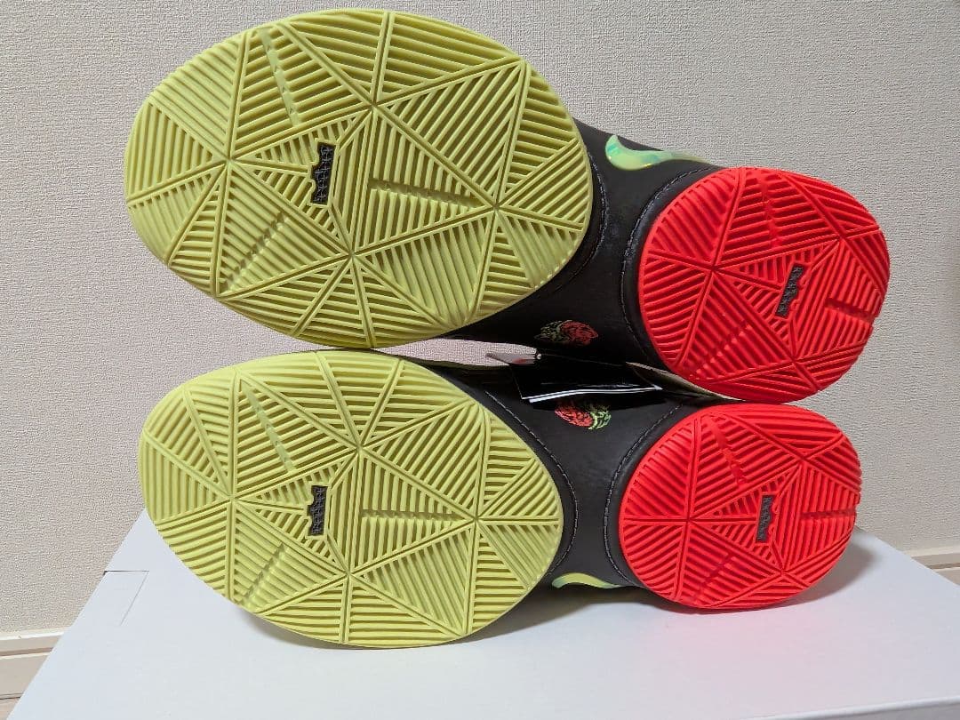 シューズ(男性用) Nike Lebron 22cm EP 9.5