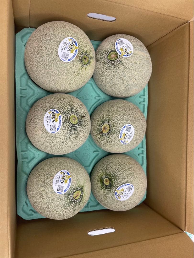 ②【北海道産】青肉メロン （品種名：らいでんクラウン) 6玉　約8.5kg