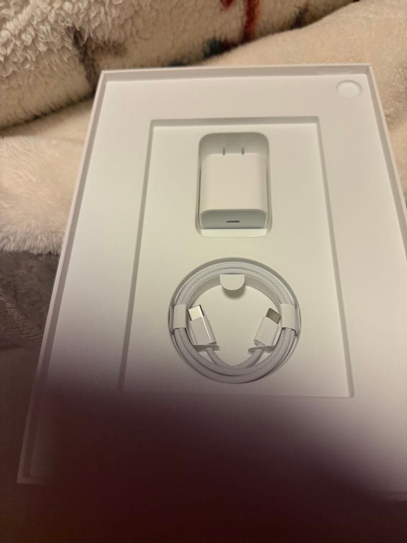 Apple iPad Air 11インチ M3 Wi-Fiモデル 256G