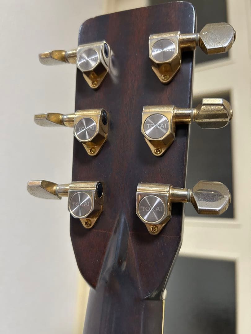 Cat's Eyes CE-500 大文字ロゴ　アコースティックギター