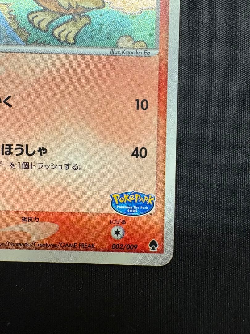 ポケモンカード ポケパークのアチャモ プロモ ポケパーク ADV-P