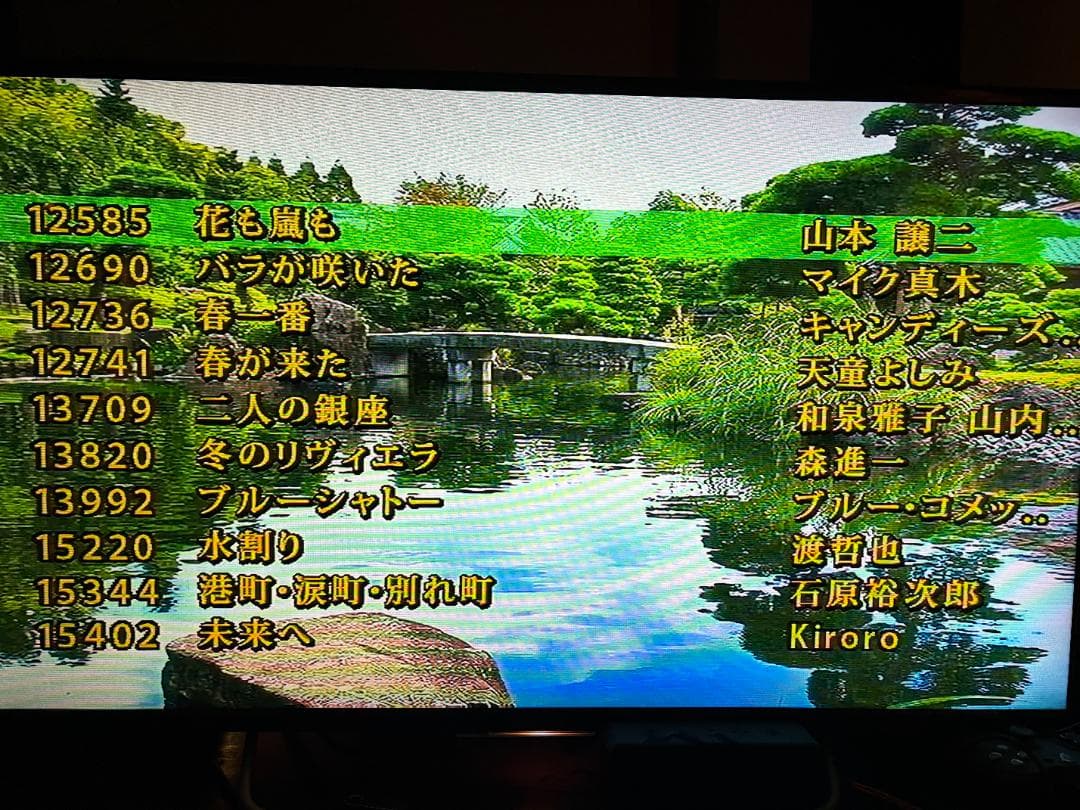 カラオケ一番 カラオケ１番 YK-3008 チップ カートリッジ 100曲