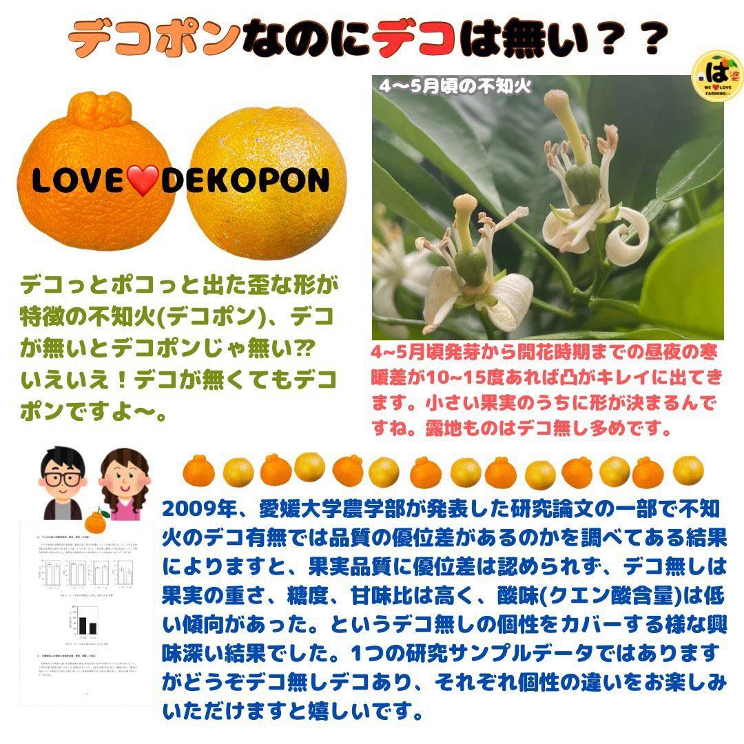 ※確認用　訳あり　大玉MIX箱込み9.5kg以上【露地栽培　不知火　デコポン】