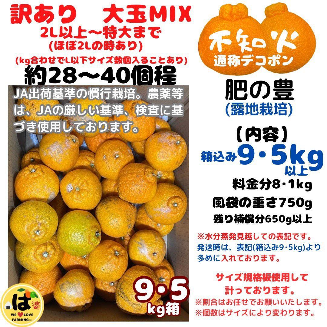 ※確認用　訳あり　大玉MIX箱込み9.5kg以上【露地栽培　不知火　デコポン】