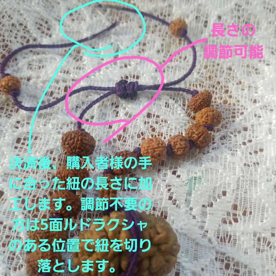 【10/5までの出品】ルドラクシャ1面～14面+ガウリーシャンカラ+ガネーシャ