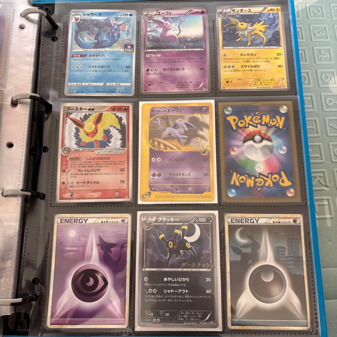 d*3様 ブイズセット