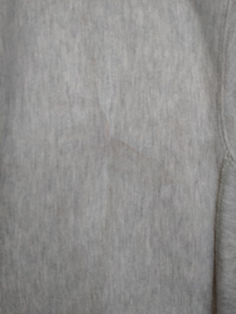 Champion Reverse Weave リバースウィーブ M 90s