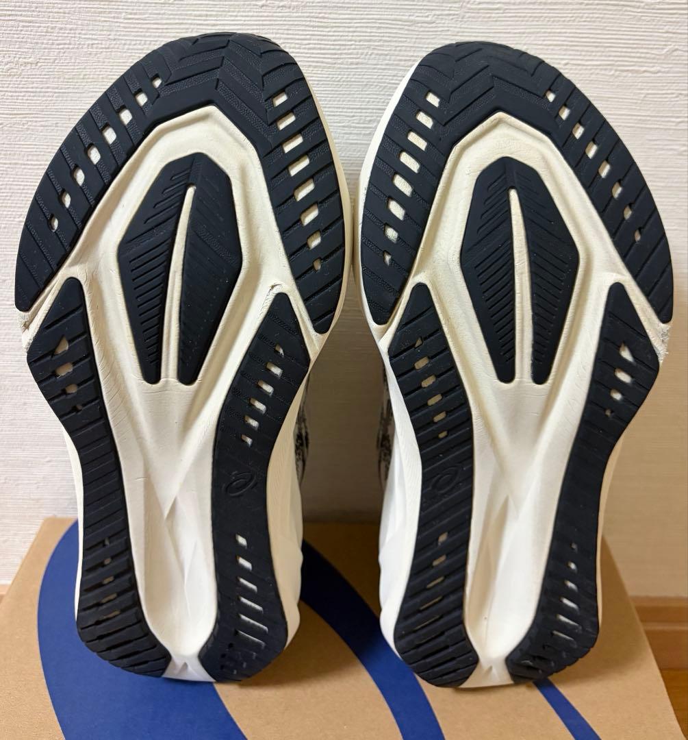 【早い者勝ち】アシックス ノヴァブラスト 5 25cm