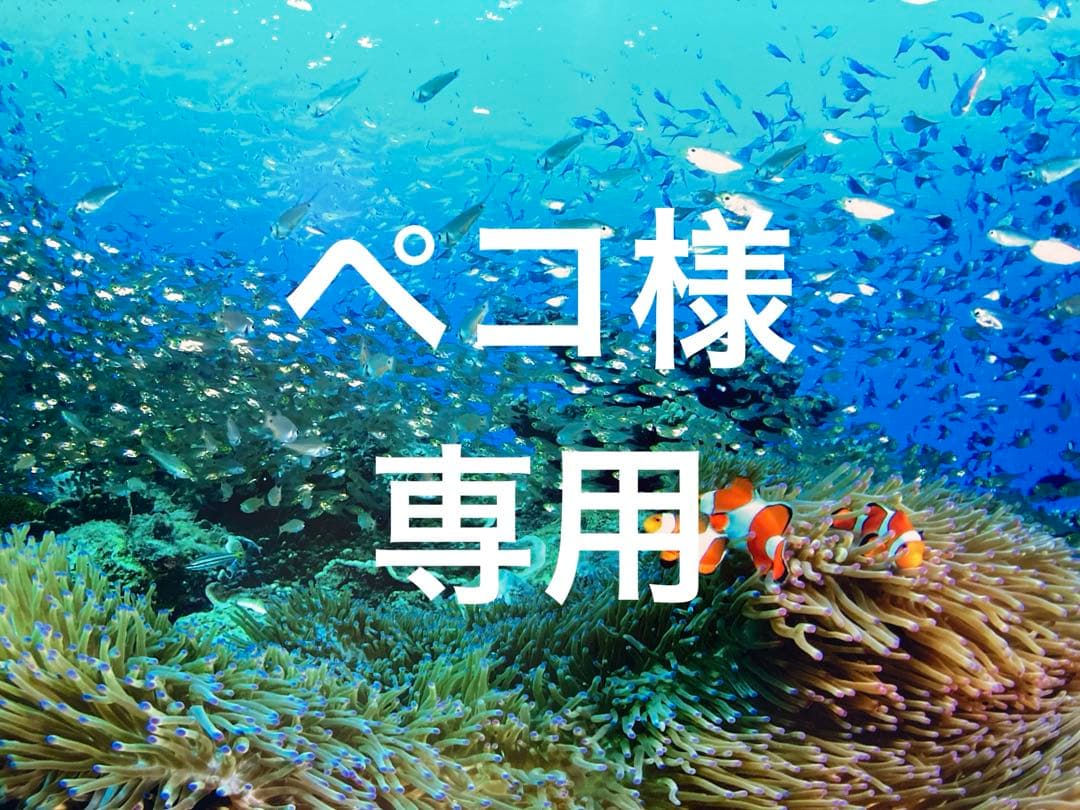 エンビロンアヴァンスモイスチャーライザー　モイスチャージェル2