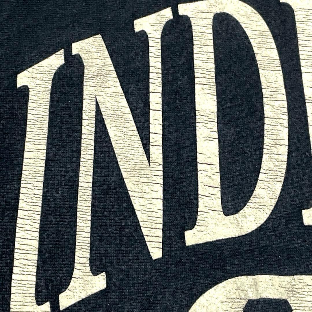 美品 アーチ3段 インディアナ 刺繍タグ リバースウィーブ チャンピオン