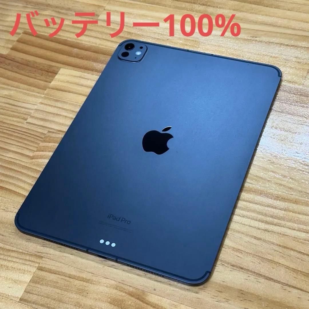 iPad Pro 11 M4 第5世代 Wi-Fi+Cellular