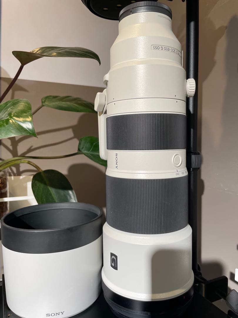 【美品】SONY FE 200-600mm F5.6-6.3 G OSS