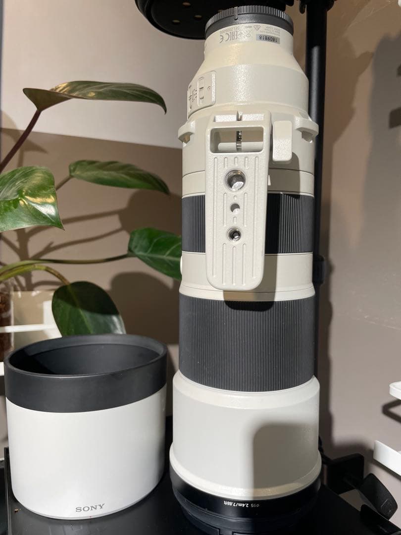 【美品】SONY FE 200-600mm F5.6-6.3 G OSS