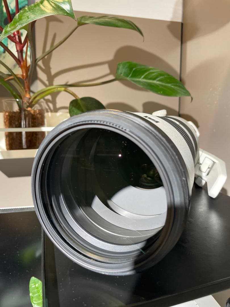 【美品】SONY FE 200-600mm F5.6-6.3 G OSS