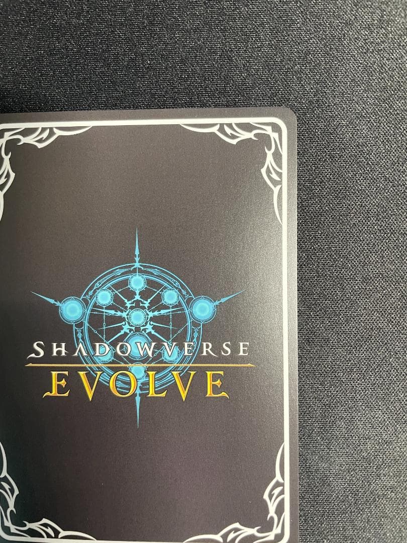 SP 揺蕩う意志 スピネ イラスト違い シャドウバース エボルヴ