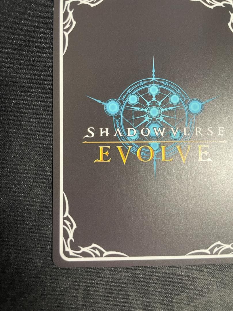 SP 揺蕩う意志 スピネ イラスト違い シャドウバース エボルヴ