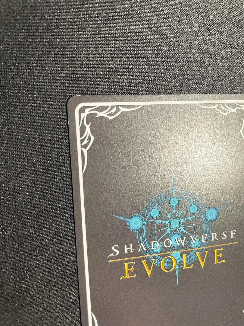 SP 揺蕩う意志 スピネ イラスト違い シャドウバース エボルヴ