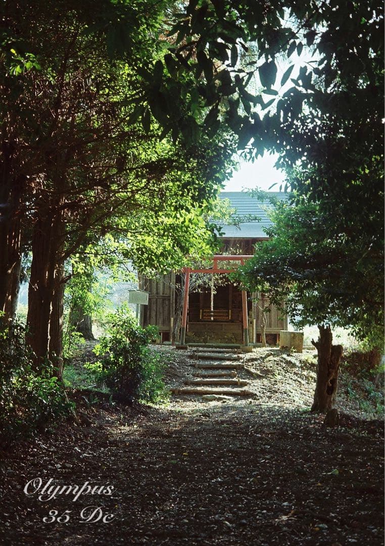 オリンパス35DC★実写テスト済み！完動品＊美品＊整備品★f1.7レンズ搭載！