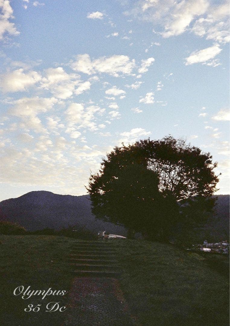 オリンパス35DC★実写テスト済み！完動品＊美品＊整備品★f1.7レンズ搭載！