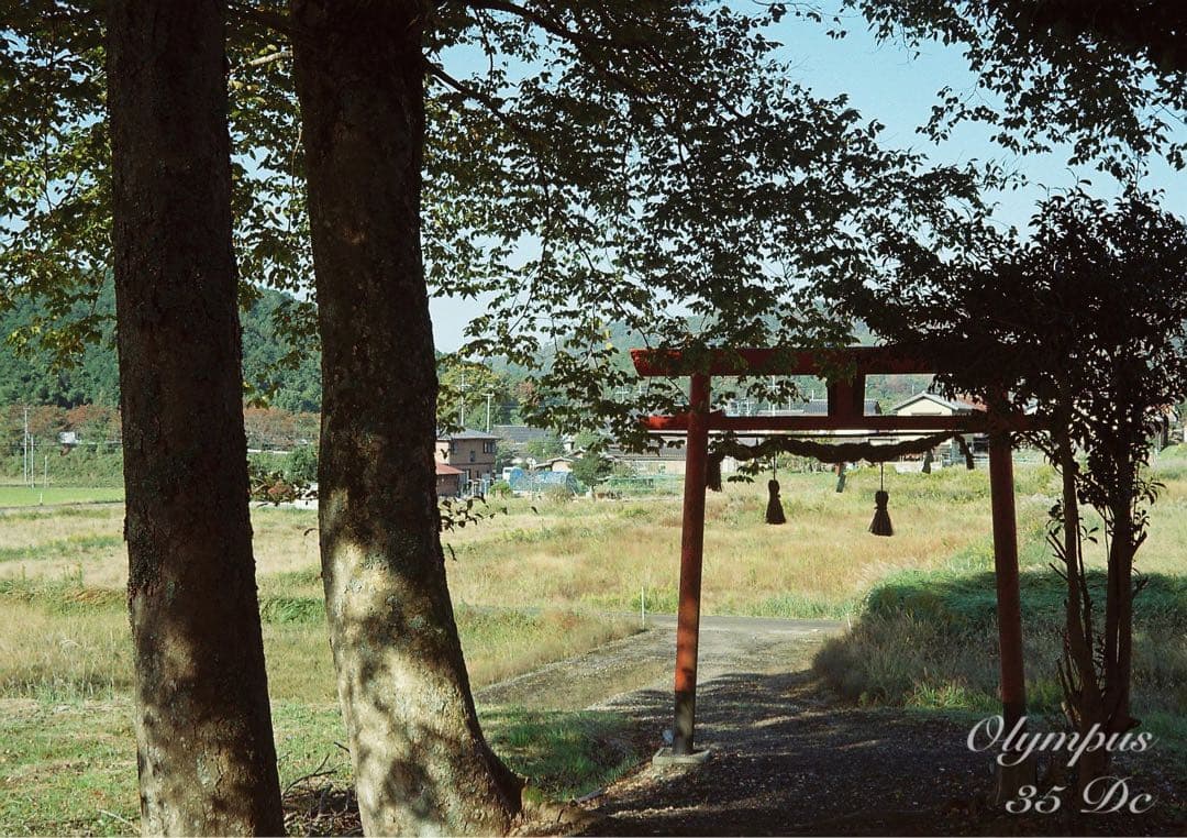 オリンパス35DC★実写テスト済み！完動品＊美品＊整備品★f1.7レンズ搭載！