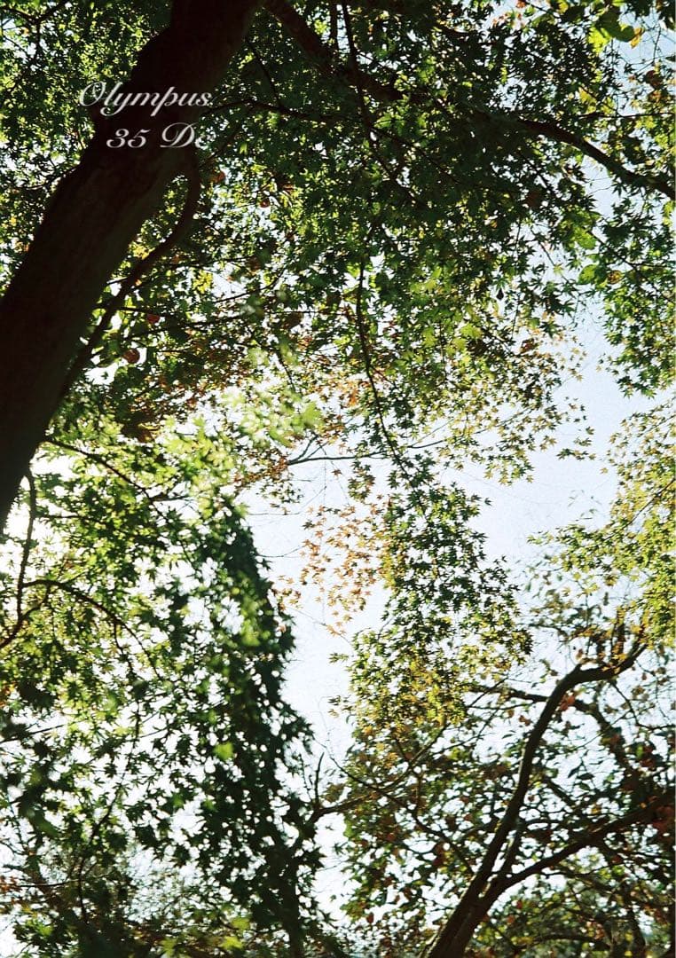 オリンパス35DC★実写テスト済み！完動品＊美品＊整備品★f1.7レンズ搭載！