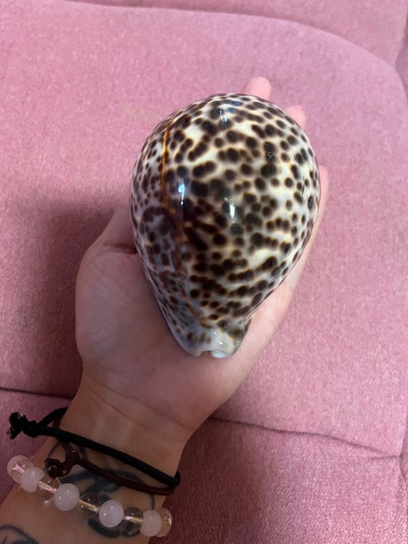 まーくんさん専用