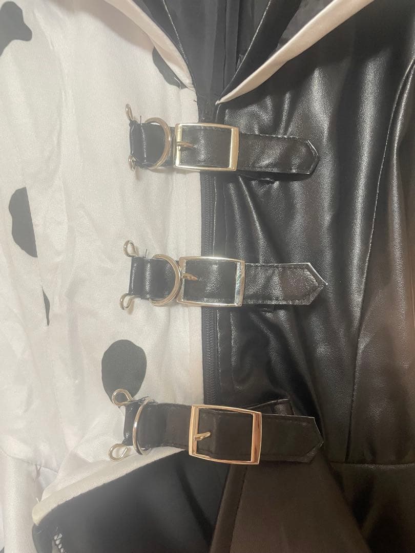 Dハロ実写版クルエラ 仮装衣装